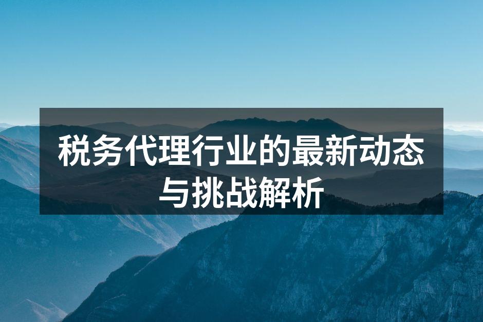 税务代理行业的最新动态与挑战解析