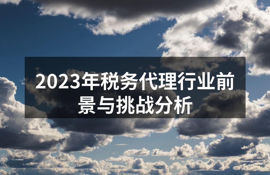 2023年税务代理行业前景与挑战分析